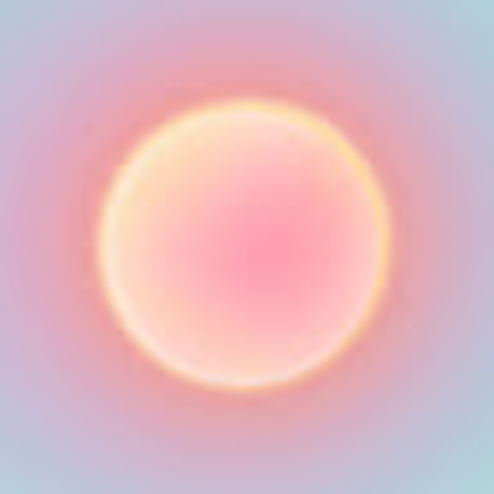 Meet your Posher, Umaima